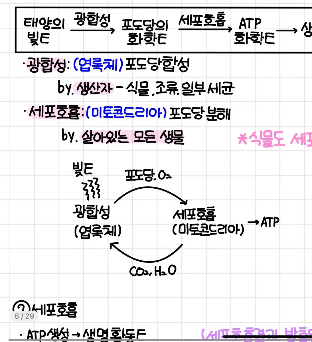 생명과학 1등급 필기 1단원 생명과학의 이해, 2단원 사람의 물질대사